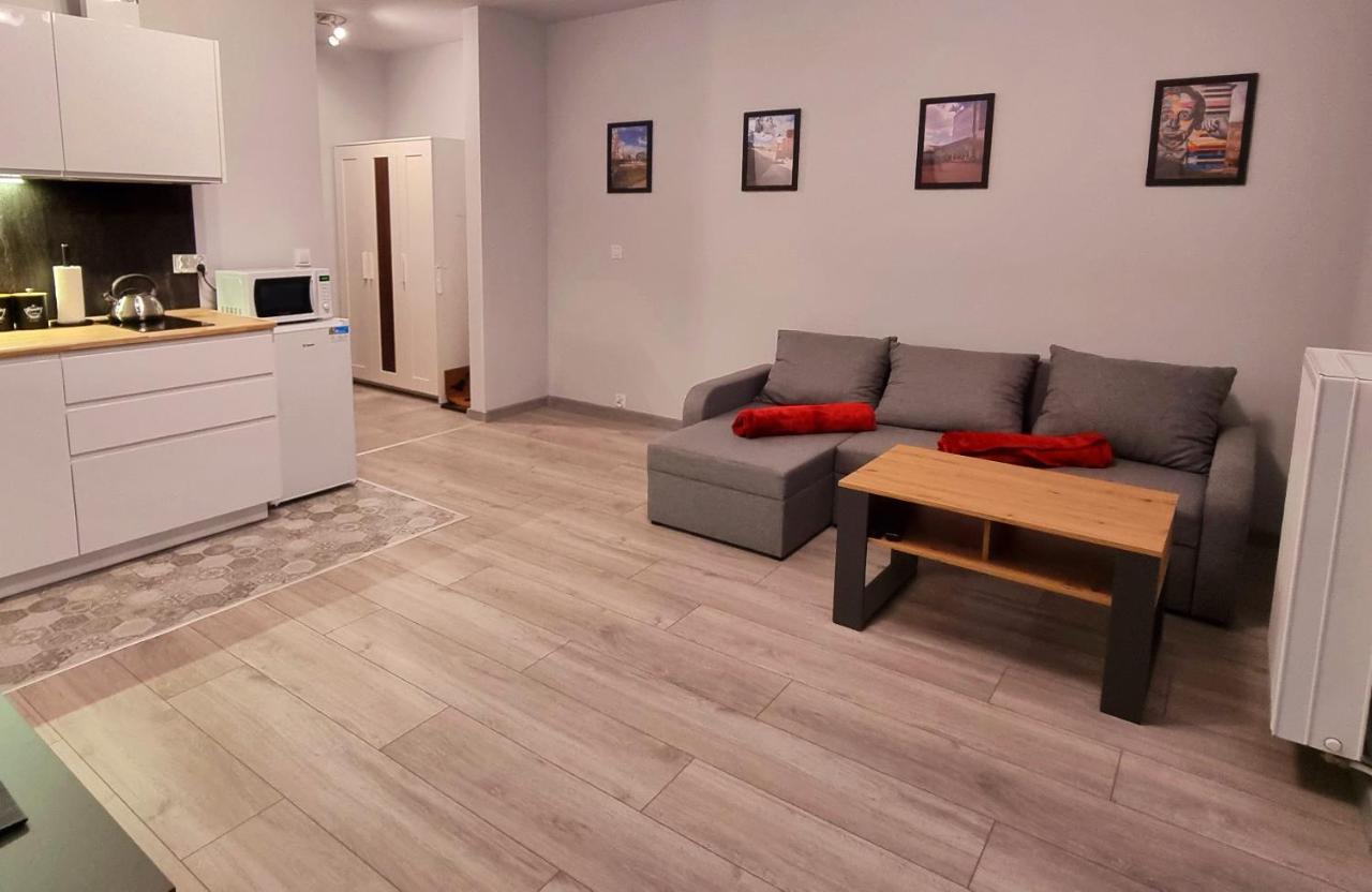 Apartament Kopernika 49 Lódź Exterior foto